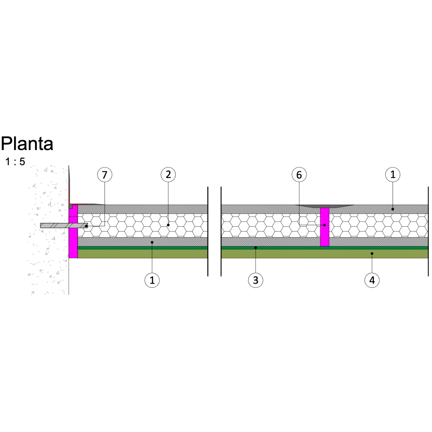 Imagen de planta