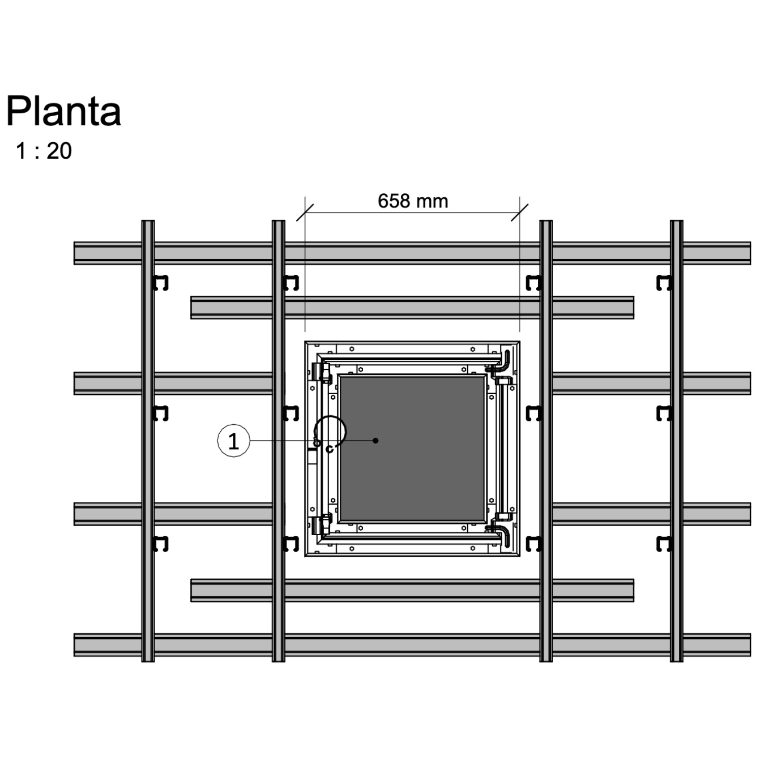 Imagen de planta